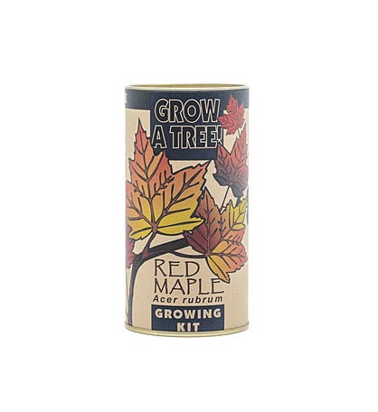 Red Maple Seed Grow Kit